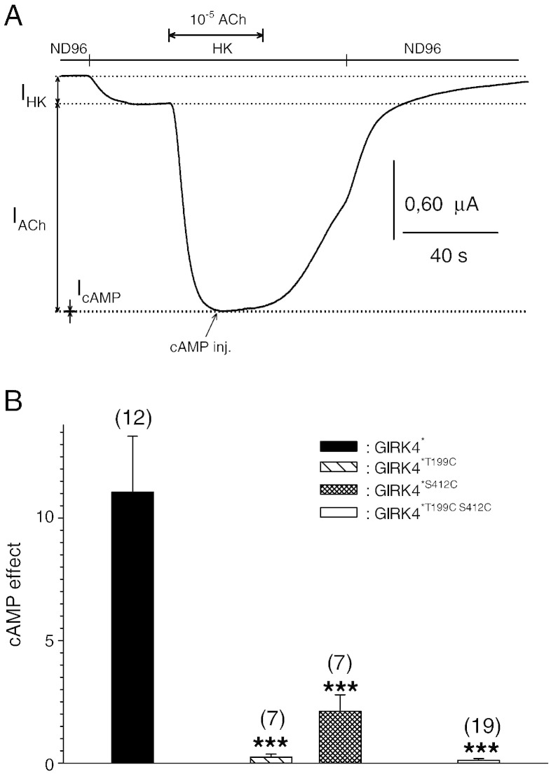 Fig. 3