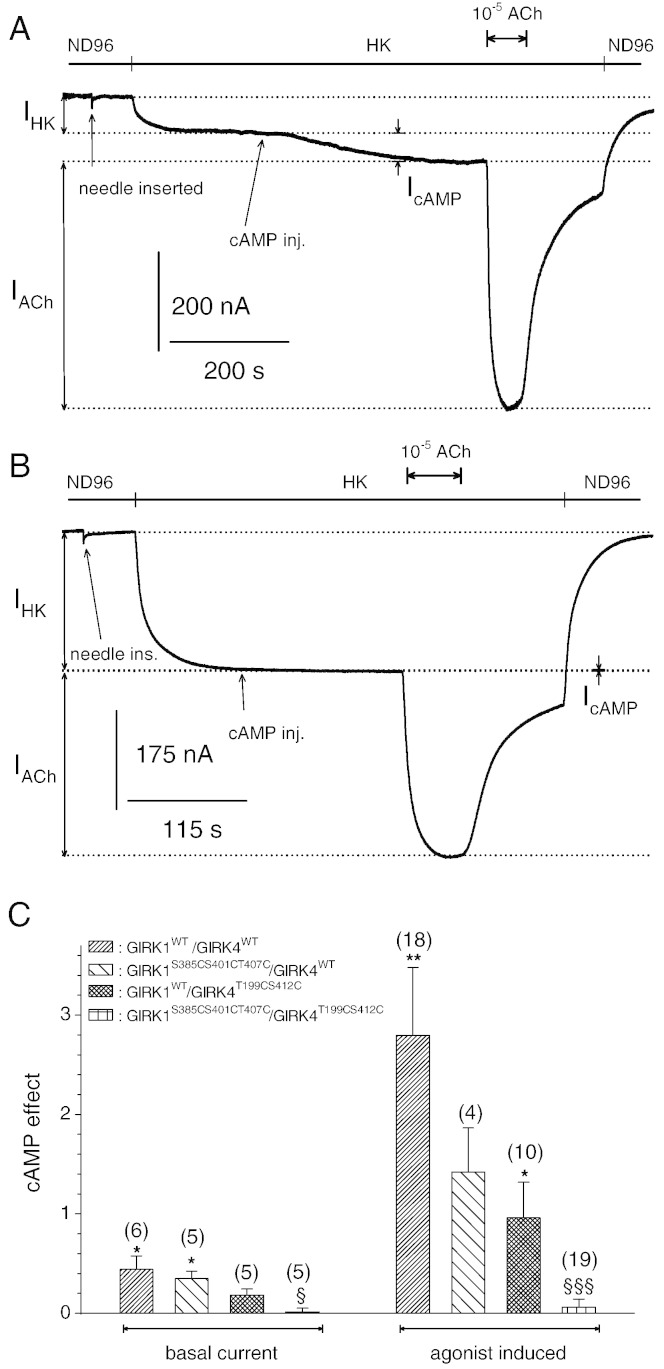 Fig. 5