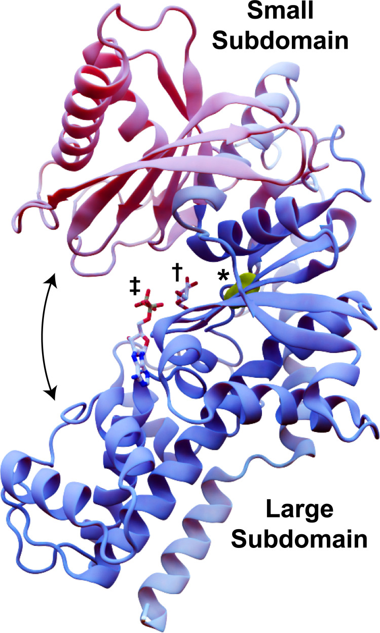 Fig 1