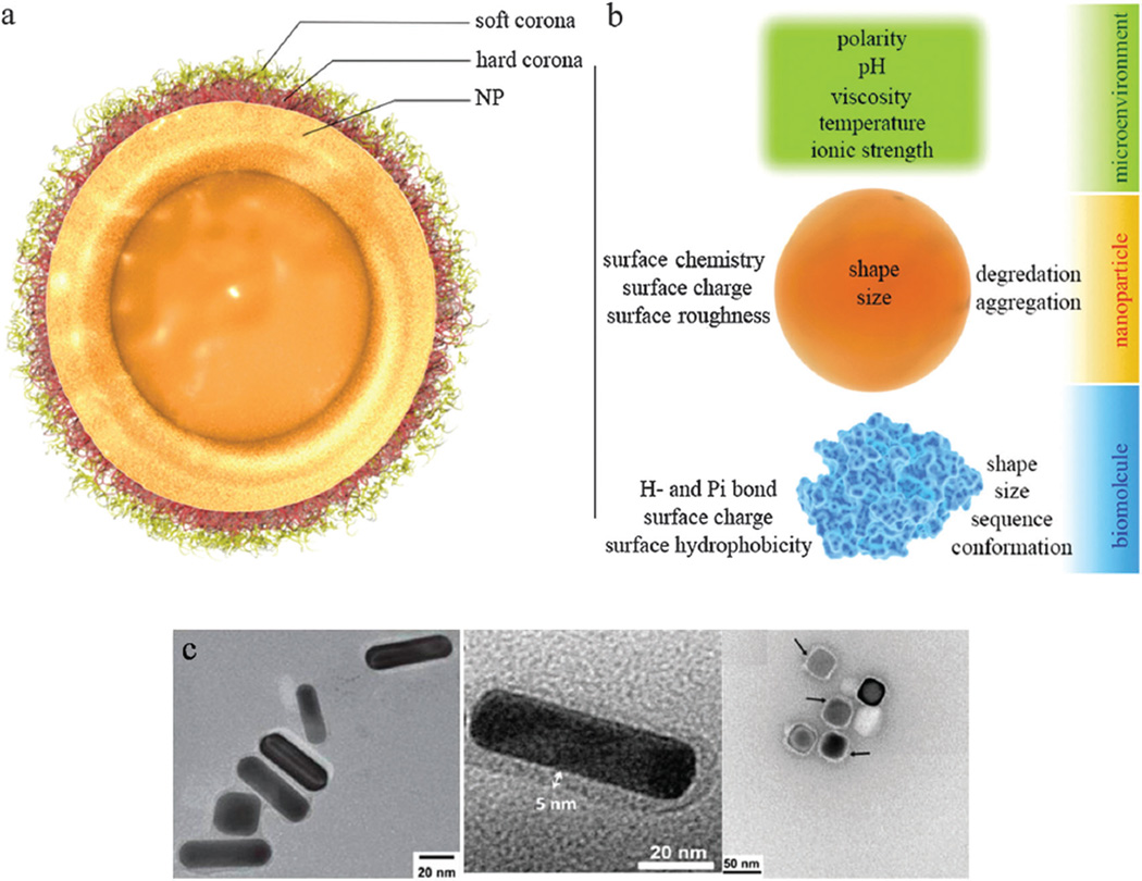 Fig. 25