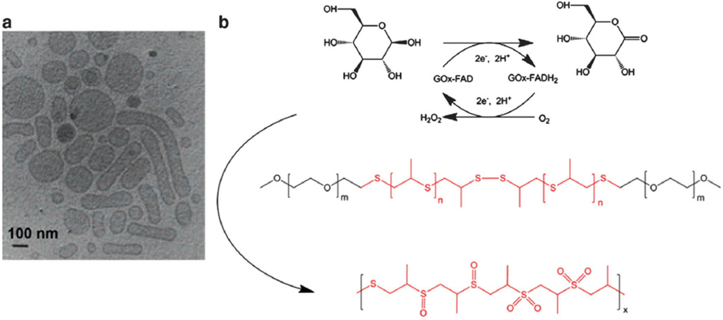 Fig. 23