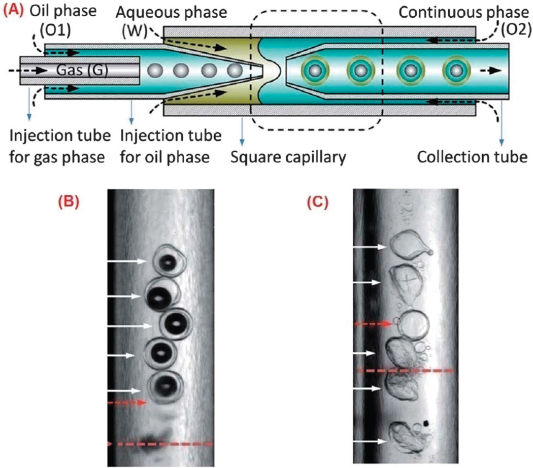 Fig. 12