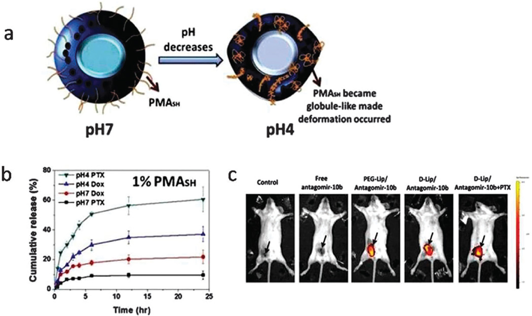 Fig. 18