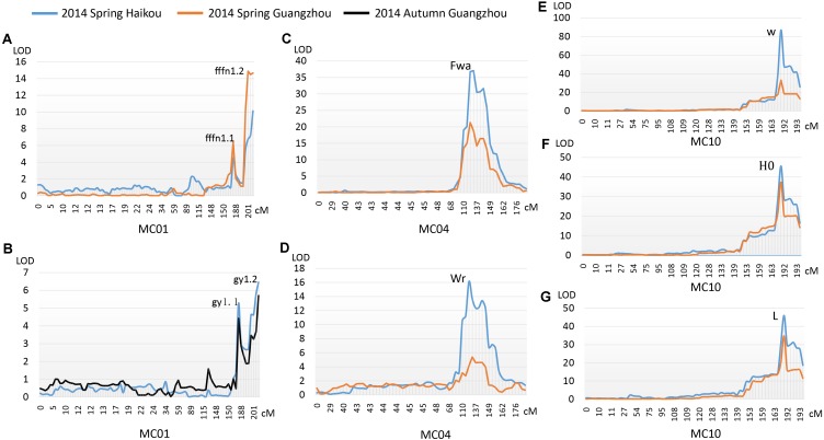 FIGURE 4