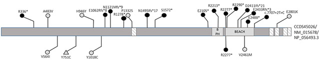 Figure 1: