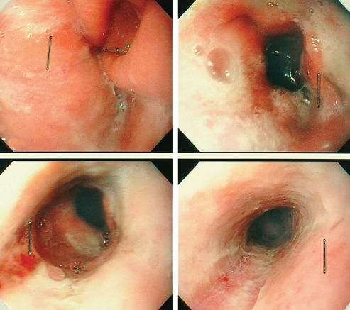 Figure 2)