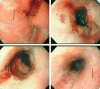 Figure 2)