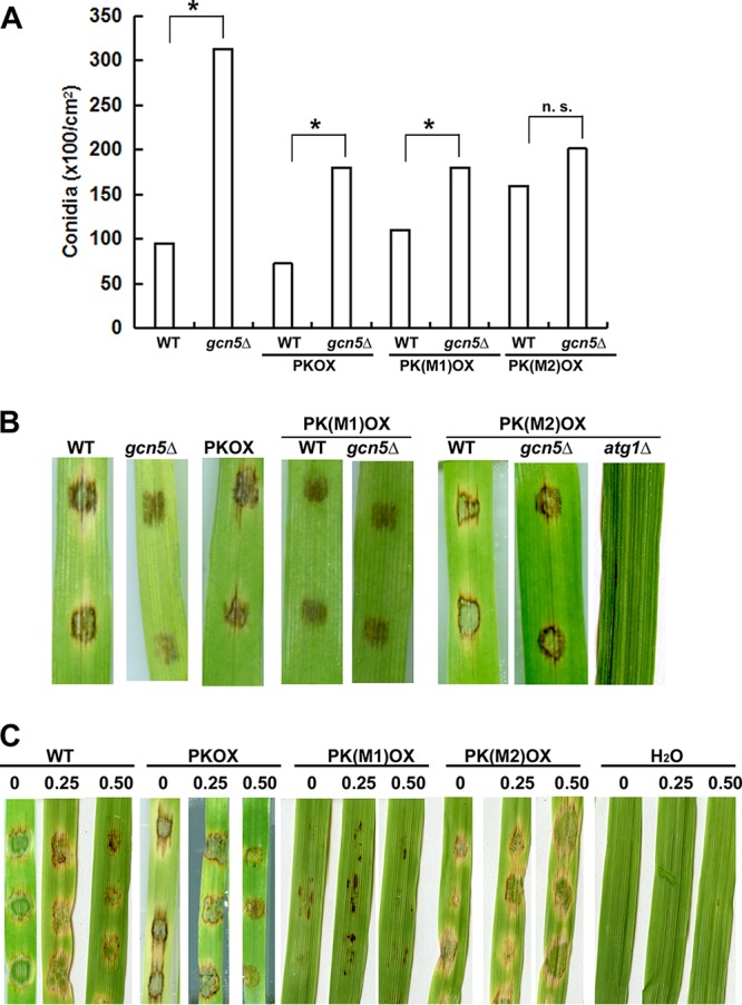 FIG 6