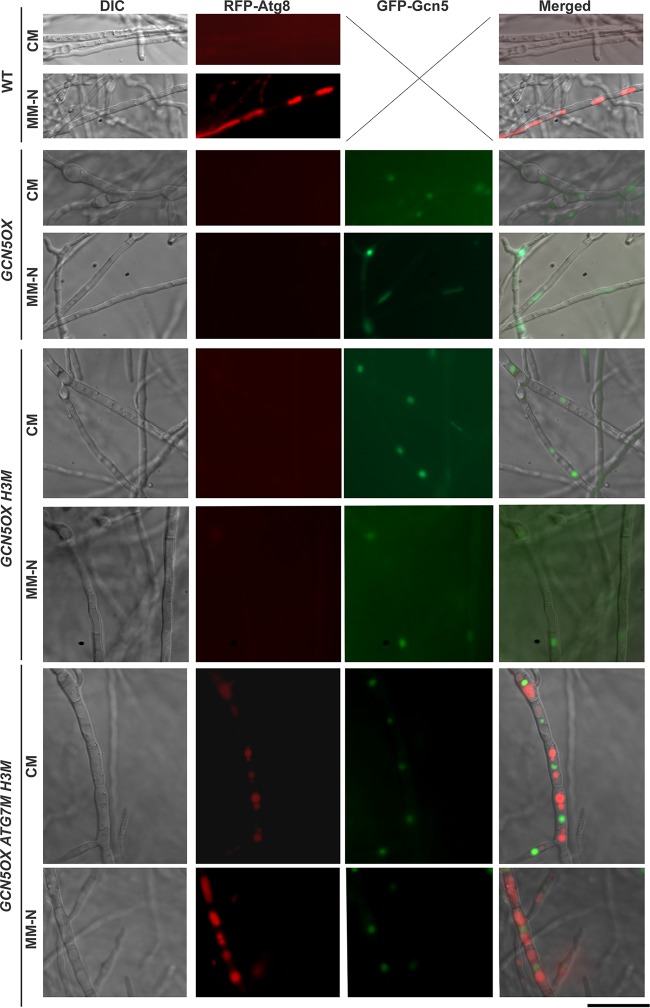 FIG 3