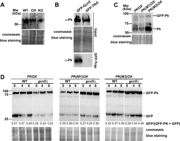 FIG 4