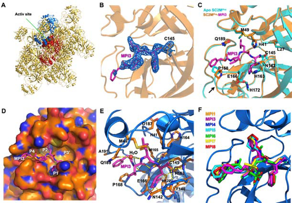 Figure 3.