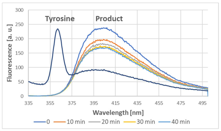 Figure 13