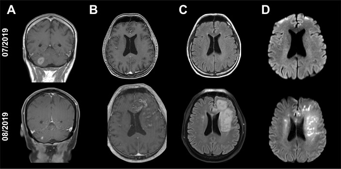 Figure 2