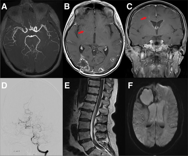 Figure 6