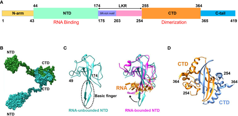 Figure 2