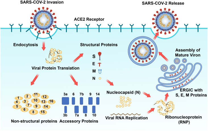 Figure 4