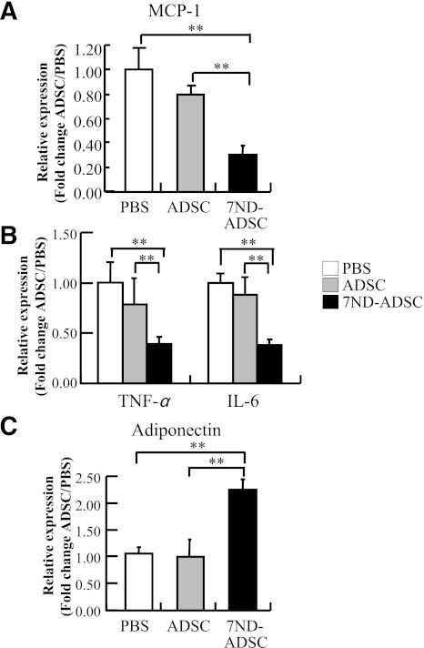 FIG. 7.