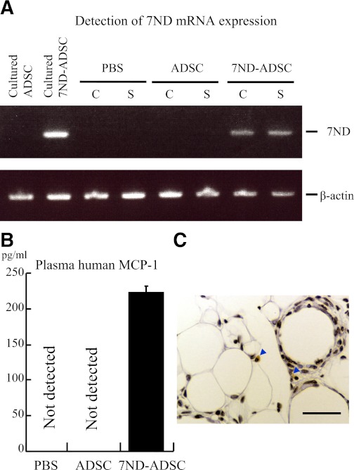 FIG. 5.