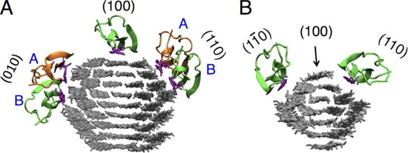 FIGURE 1.