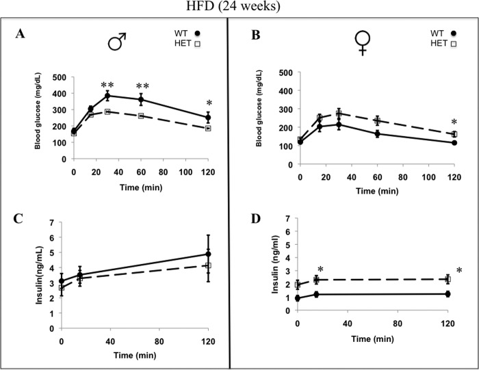 FIGURE 11.