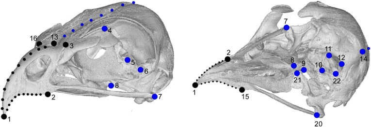 Fig. S1.