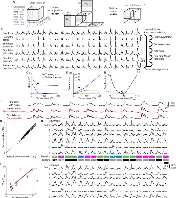 Figure 2—figure supplement 1.