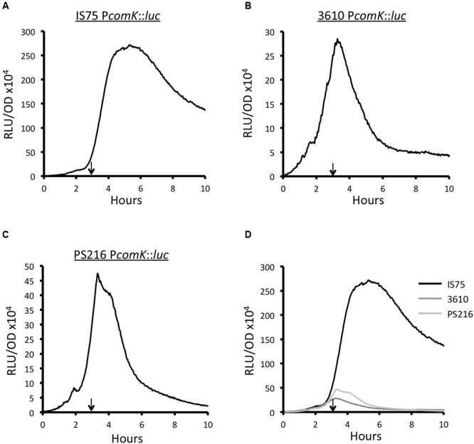 FIGURE 2