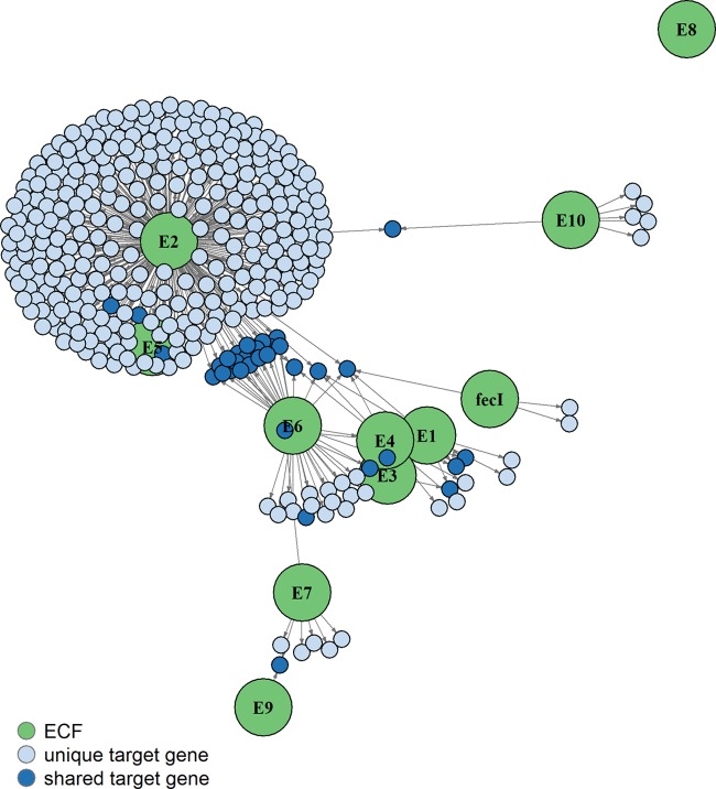 FIG 2