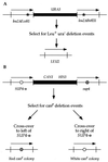 FIG. 1