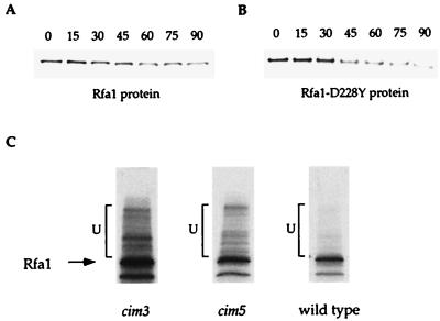 FIG. 7