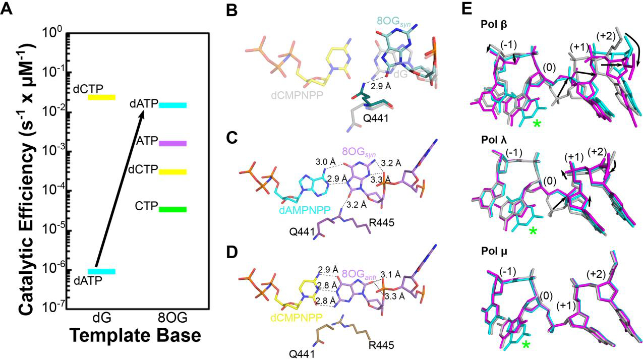 Figure 4: