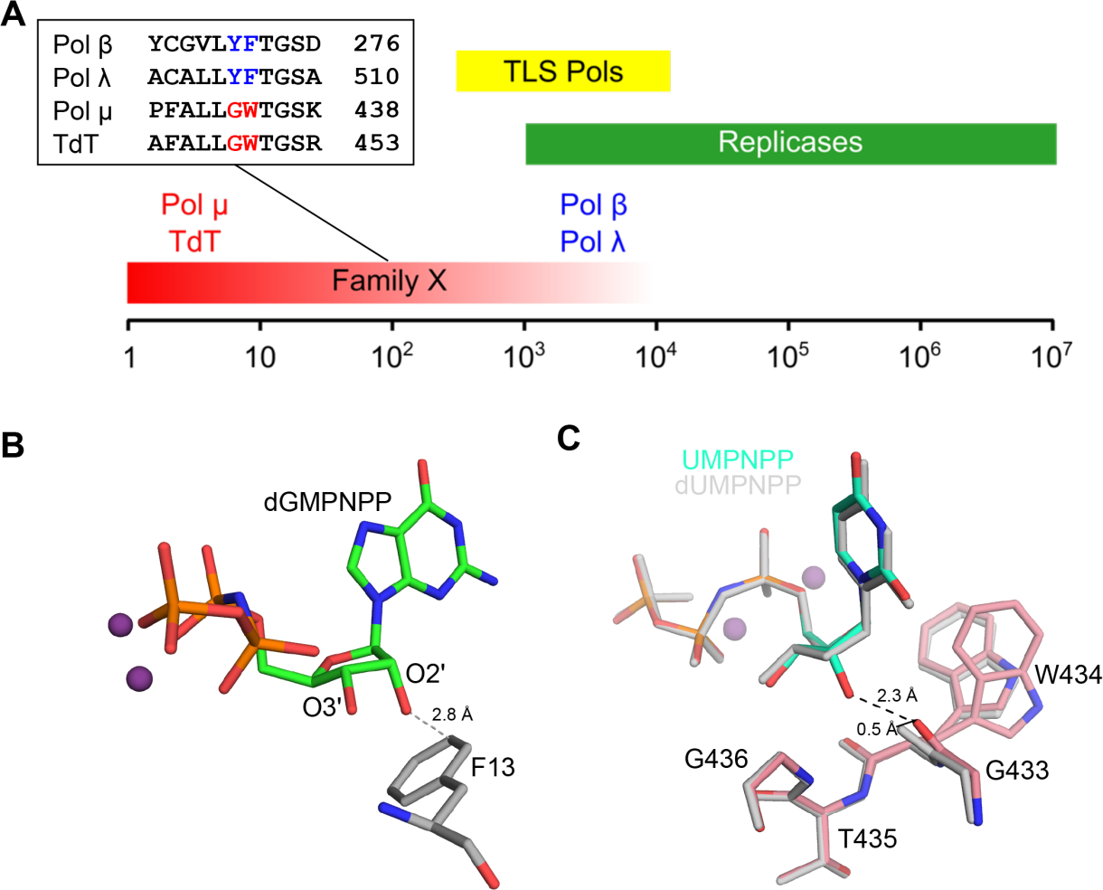 Figure 5: