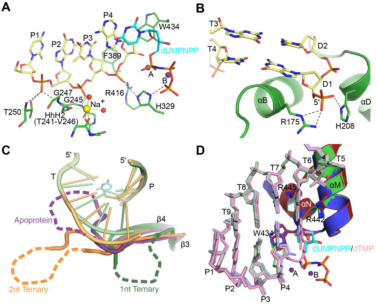 Figure 2: