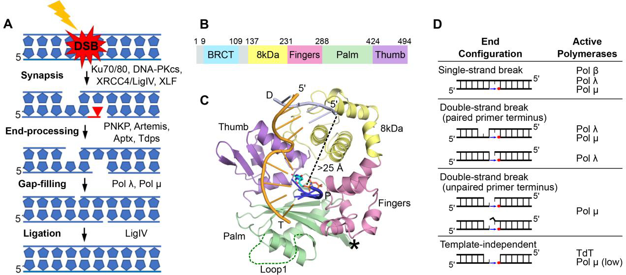 Figure 1: