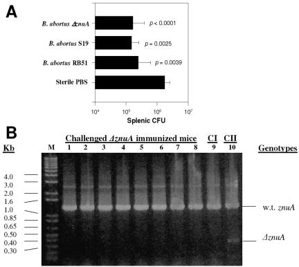 FIG. 5.