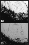 Figure 8.