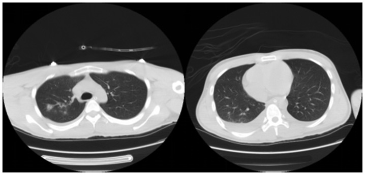 Figure 1.