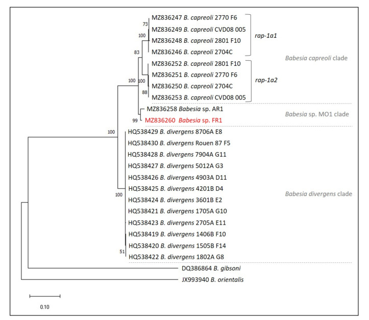 Figure 5