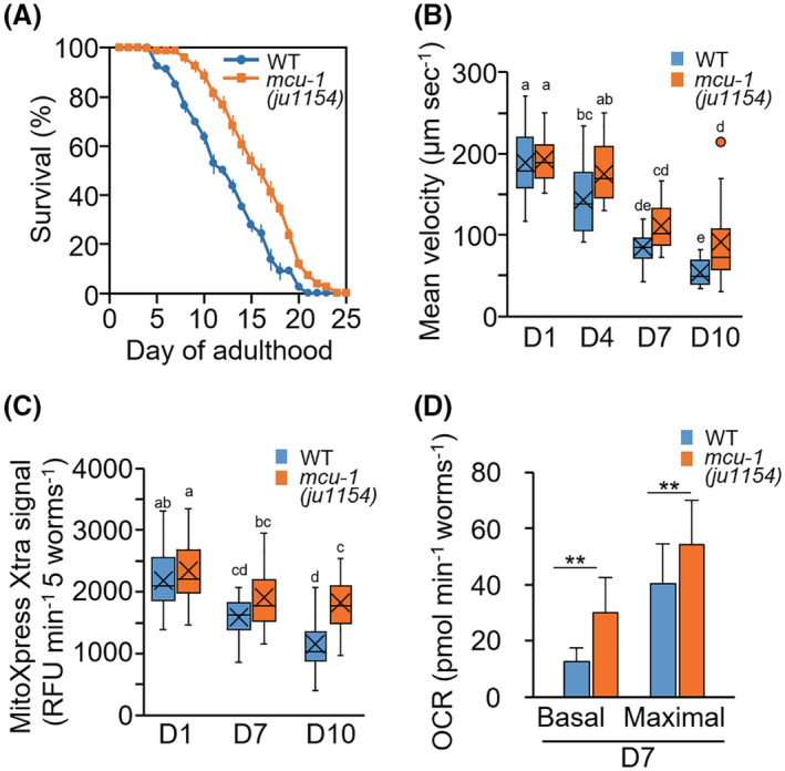 FIGURE 3