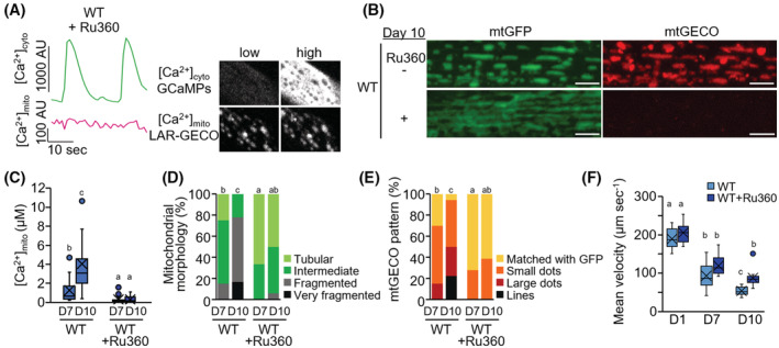 FIGURE 4