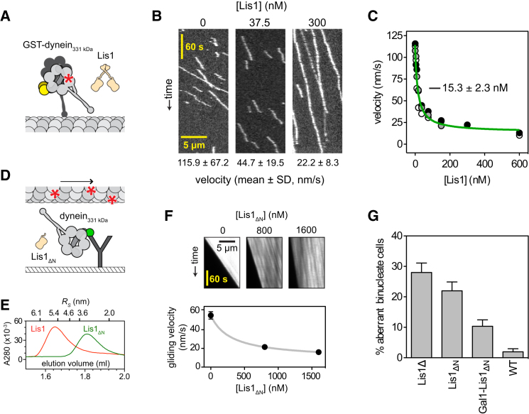 Figure 2