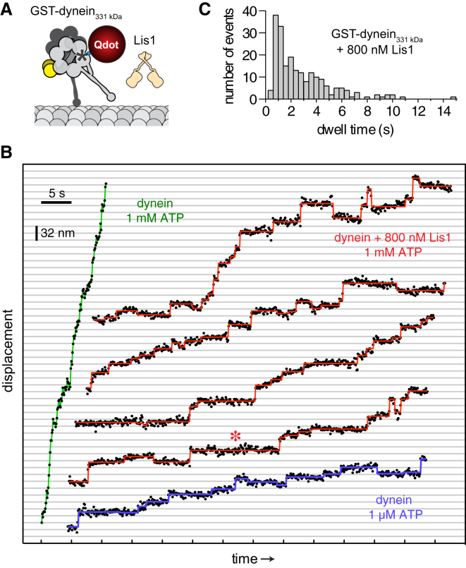 Figure 4