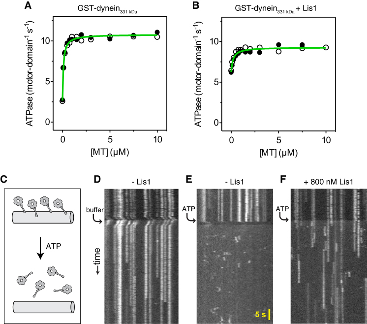 Figure 3