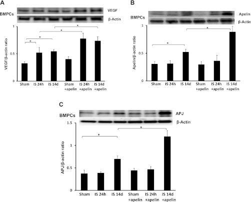 Fig. 8.