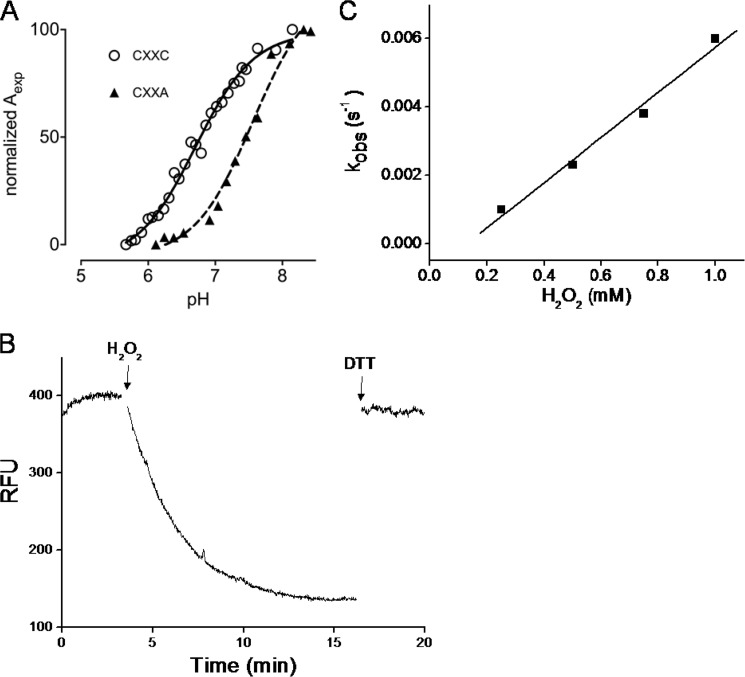 FIGURE 4.