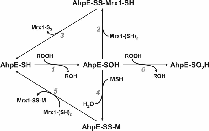 FIGURE 7.