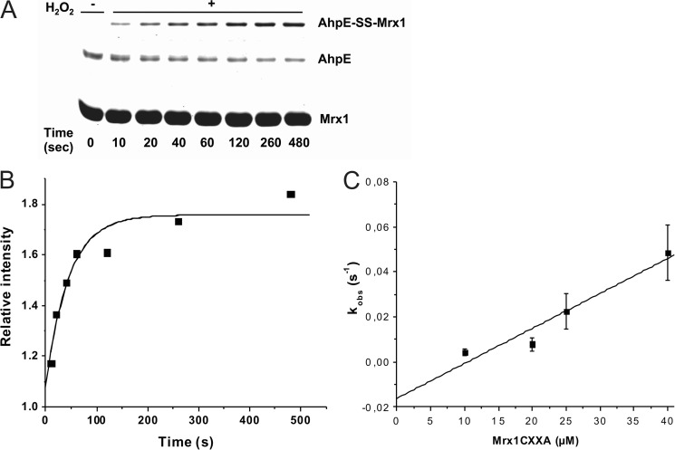 FIGURE 3.