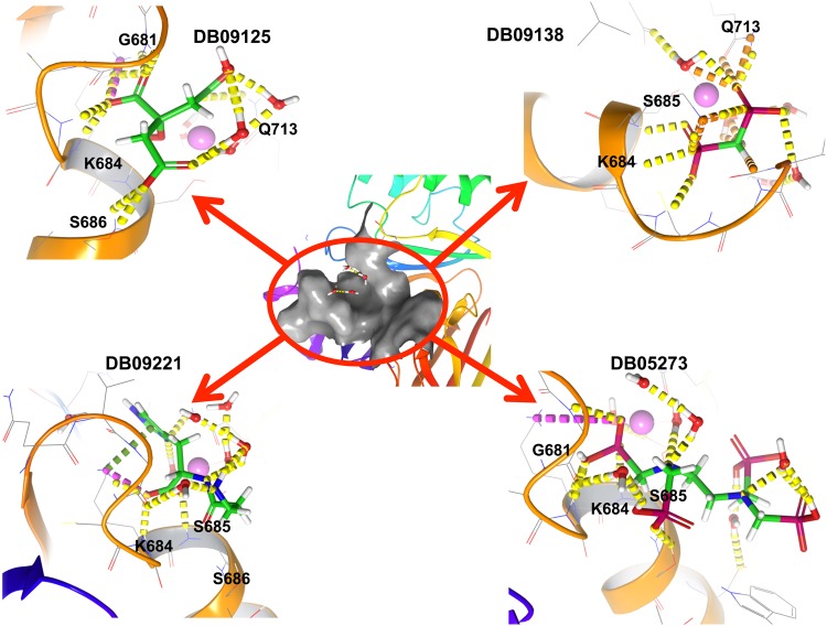 Figure 4