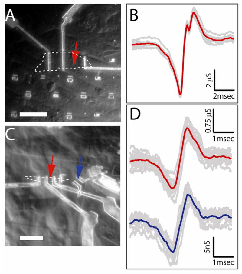 Figure 4