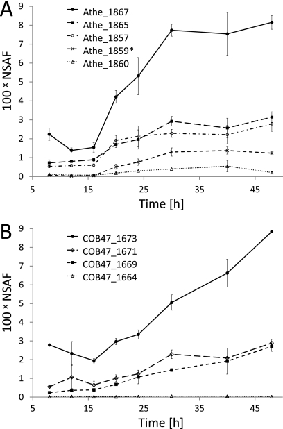 Fig. 3.